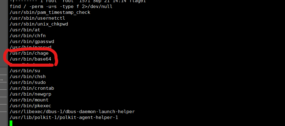 image-20230921142243739